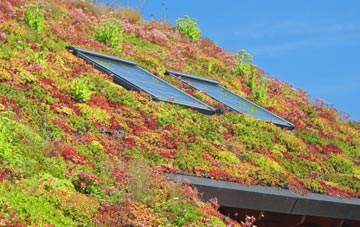 Blackpool Corner living roof systems