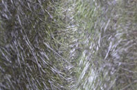 Blackpool Corner fibreglass roof work